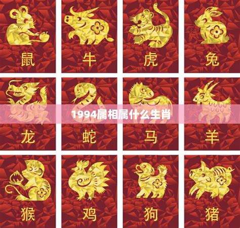 1994狗|1994年出生属什么生肖 1994年属狗是什么命